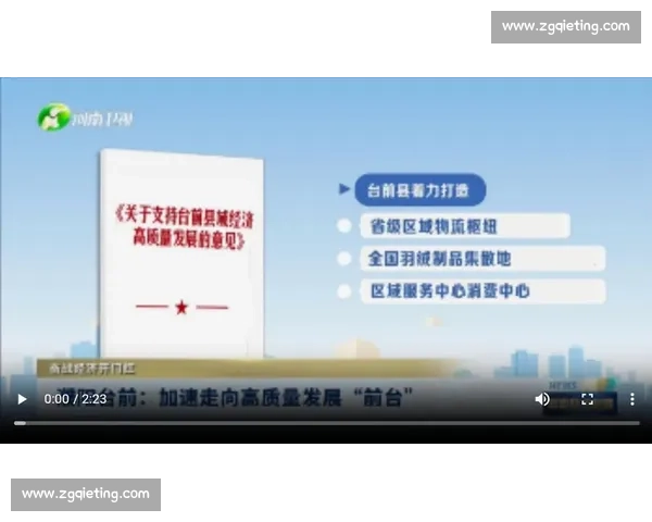 以战略愿景引领高质量发展构建面向未来的整体新格局长远蓝图